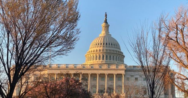 Legislative Session — Week 8: Preparing for Nationwide Historic Preservation Advocacy